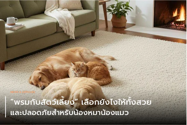 เทคนิคเลือกพรมให้เข้ากับโทนสีเฟอร์นิเจอร์