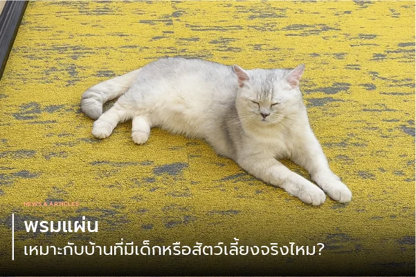 พรมแผ่นเหมาะกับบ้านที่มีเด็กหรือสัตว์เลี้ยงจริงไหม?