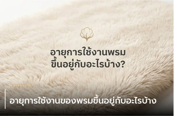 อายุการใช้งานของพรมขึ้นอยู่กับอะไรบ้าง