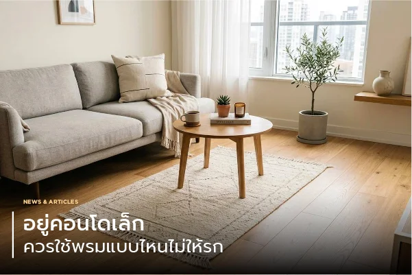 อยู่คอนโดเล็ก ควรใช้พรมแบบไหนไม่ให้รก