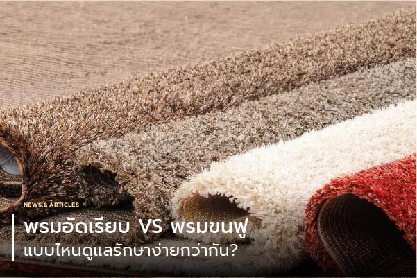 พรมอัดเรียบ VS พรมขนฟู แบบไหนดูแลรักษาง่ายกว่ากัน?