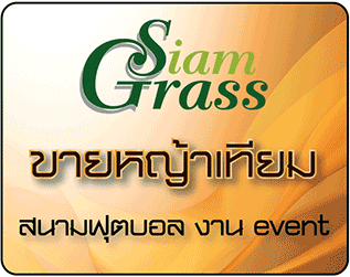 หญ้าเทียม